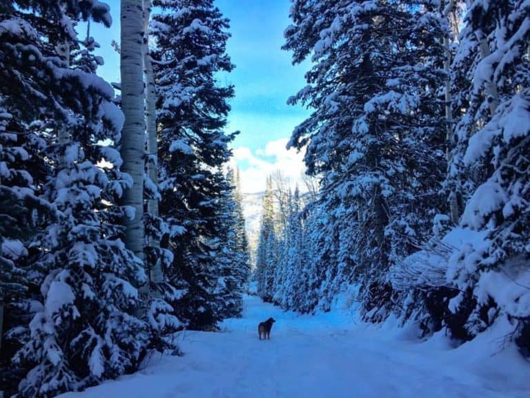 15 Incredible Winter Hikes in Colorado
