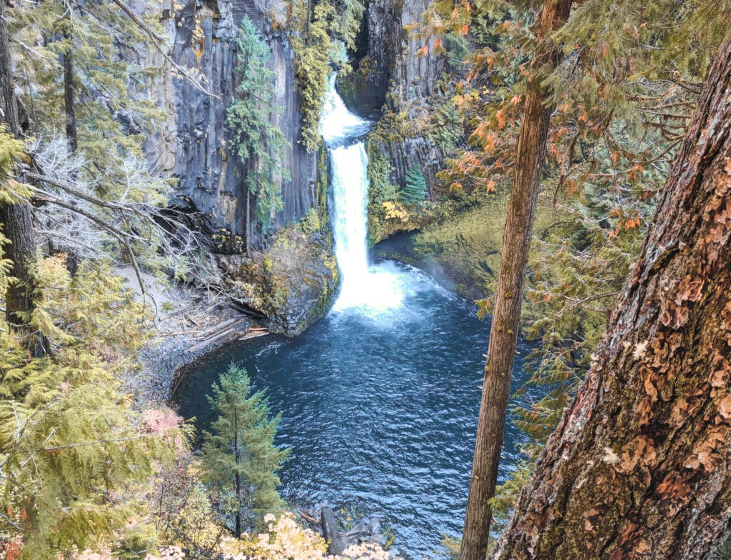 Visiting Umpqua National Forest? Perfect! Be sure to stop at Toketee Falls while you're there!