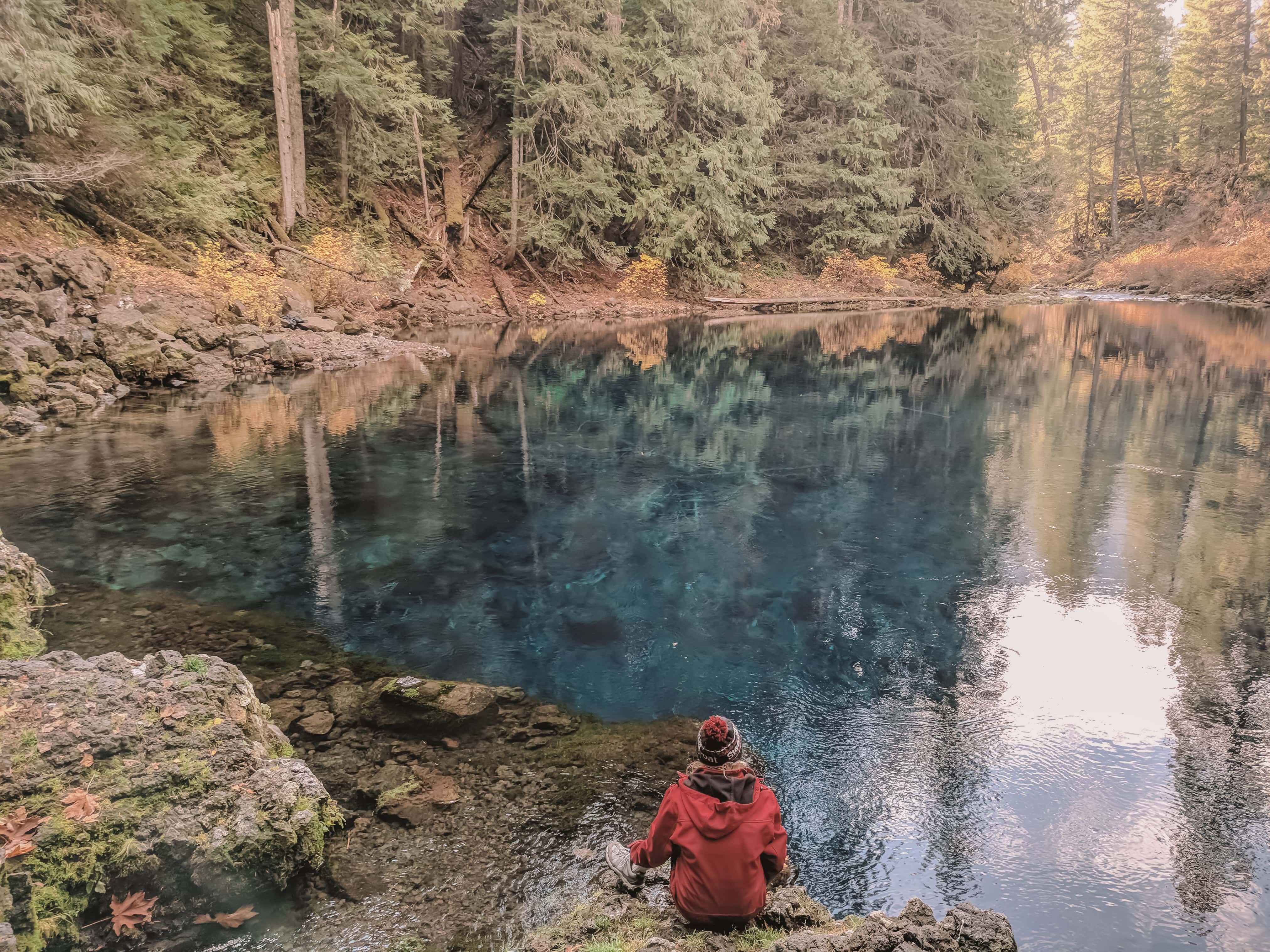 Things to Do in Bend, Oregon in Winter - Tamolitch Blue Pool