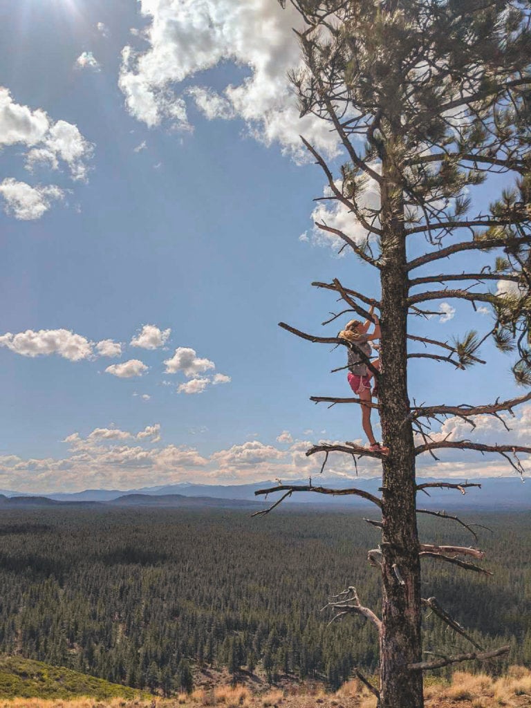 A view of Bend and the Cascade range from the top of Bessie Butte.