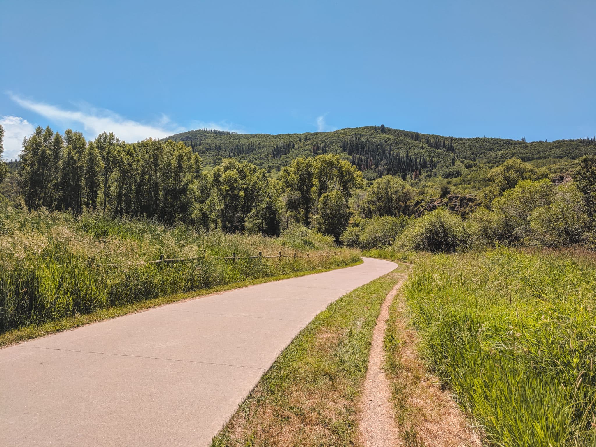 Steamboat Springs Core Trail in Summer