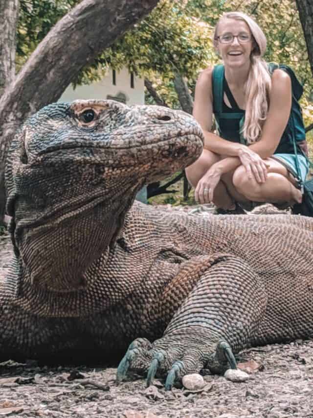 Visiting Rinca Island - Komodo Dragons