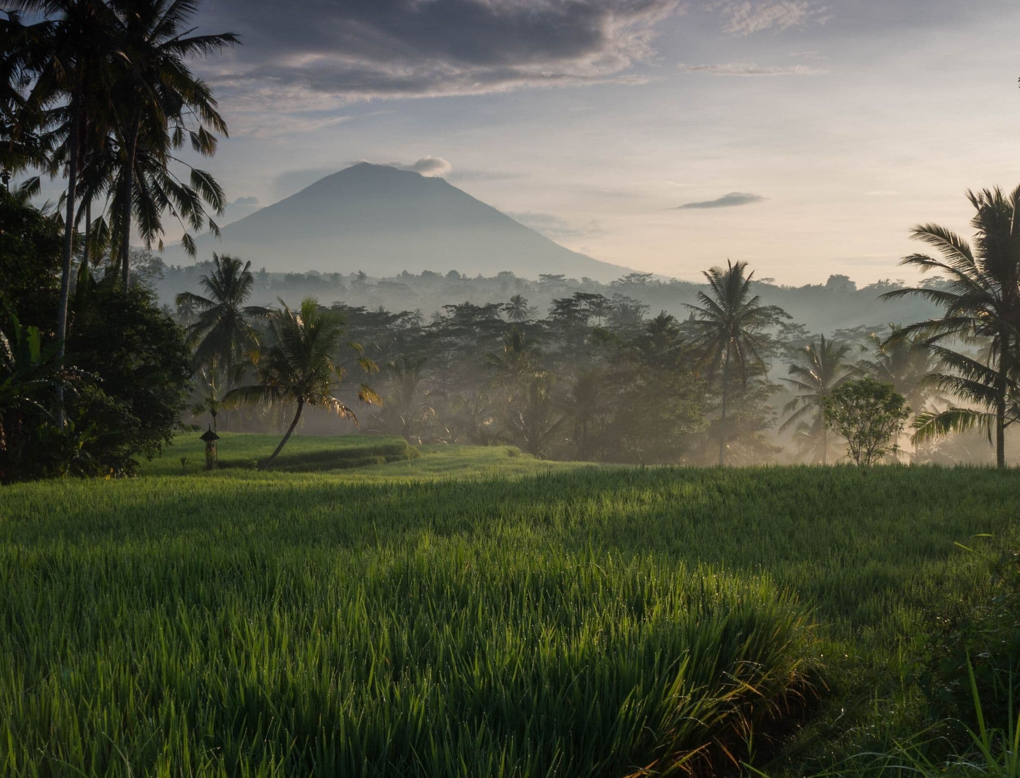 Ubud Guide