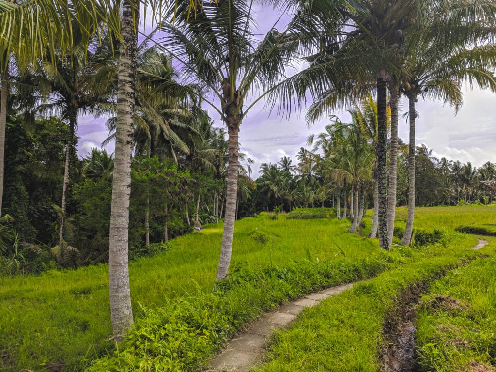 What Is The Best Travel Insurance For Bali?