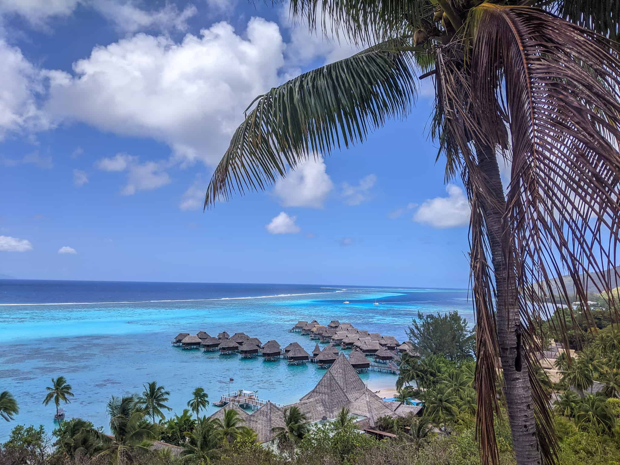 An overhead view of the overwater bungalows at the Sofitel Resort and Spa Moorea from Toatea Lookout Point