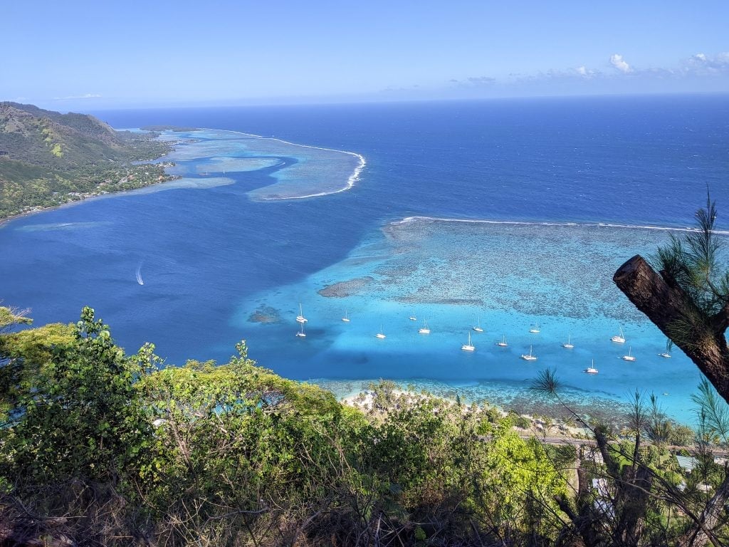A View of the Moorea Lagoon