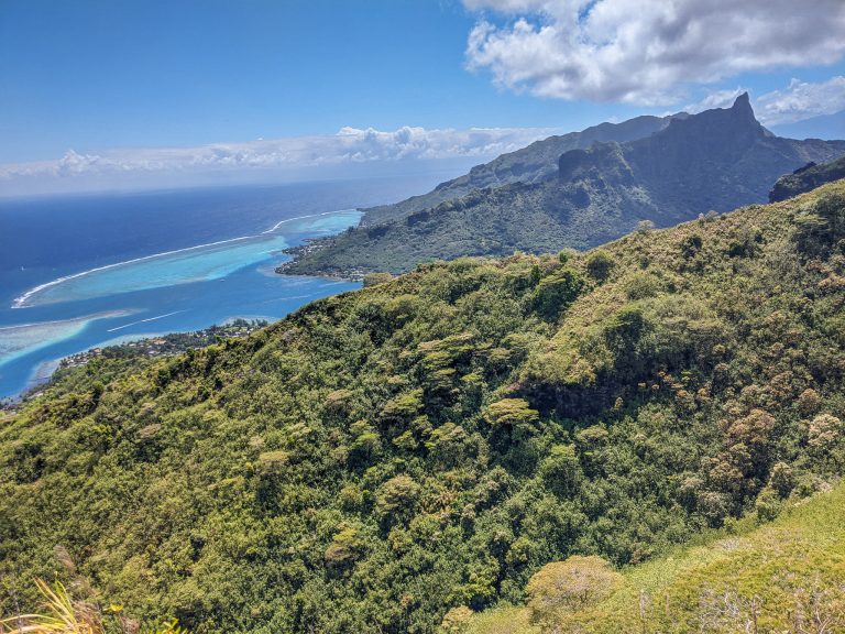 A View of Cook's Bay From Mount Rotui