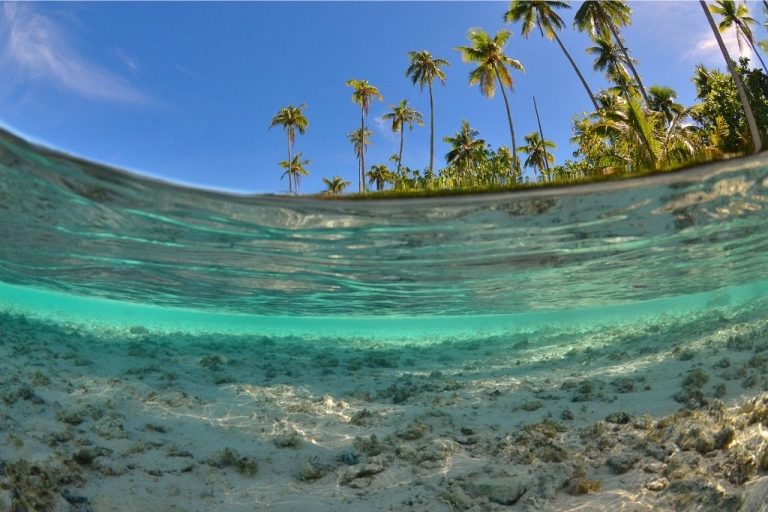 A view of the ocean from Moorea Beach Lodge