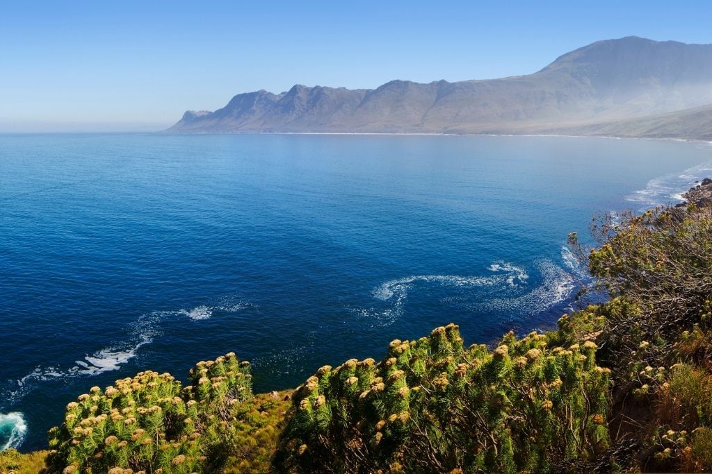 A View of the Cape.