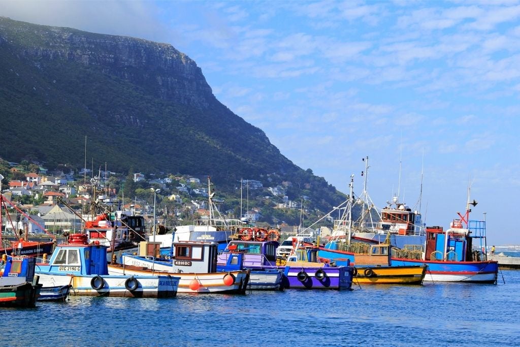 A View of the Town in Kalk Bay.
