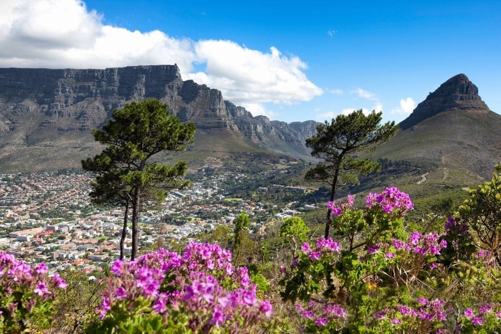 Table Mountain From a Distance.