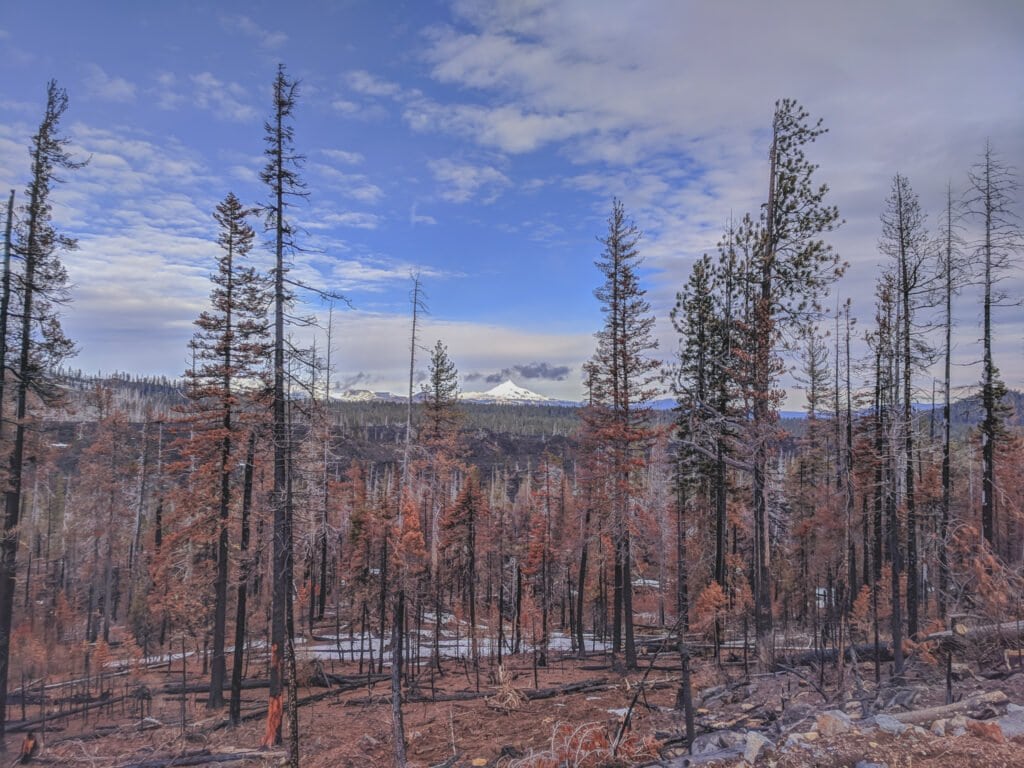 A View of the Snow-Covered Mountains in Central Oregon.