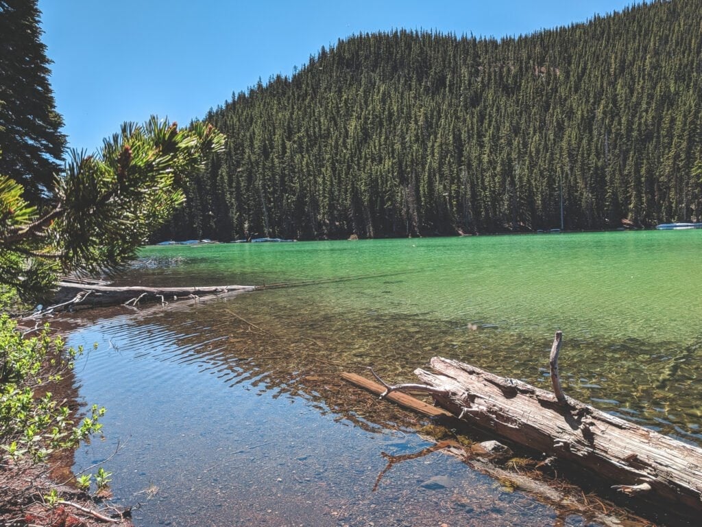 Devil's Lake Campground Is The Perfect Place To Go Camping Near Bend, Oregon.