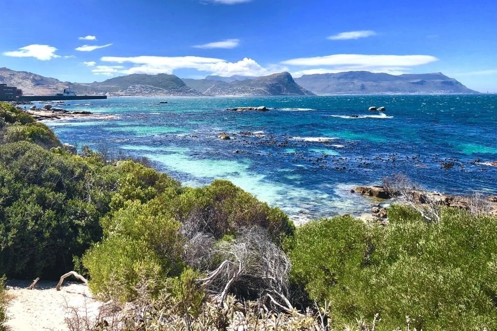 Boulders Beach in Cape Town, South Africa.