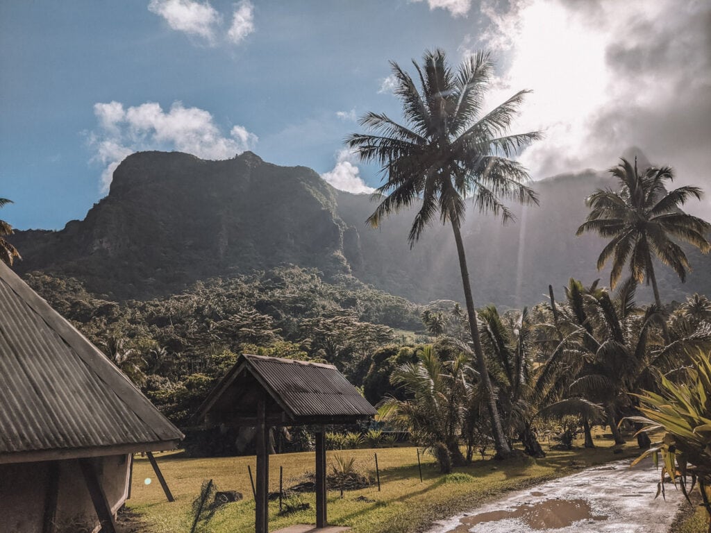 Palm Trees, Cliffs, and the Sun In French Polynesia.