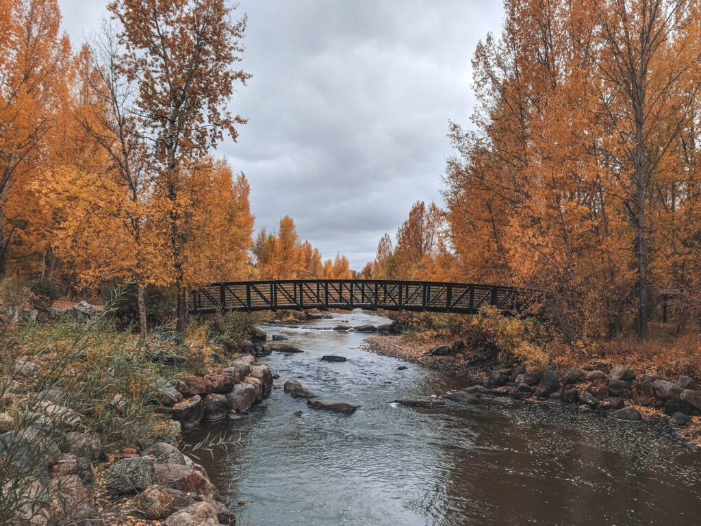 The Yampa River in the fall.