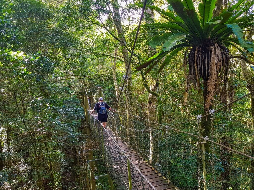 This is us at Lamington National Park in Australia, a world heritage site.