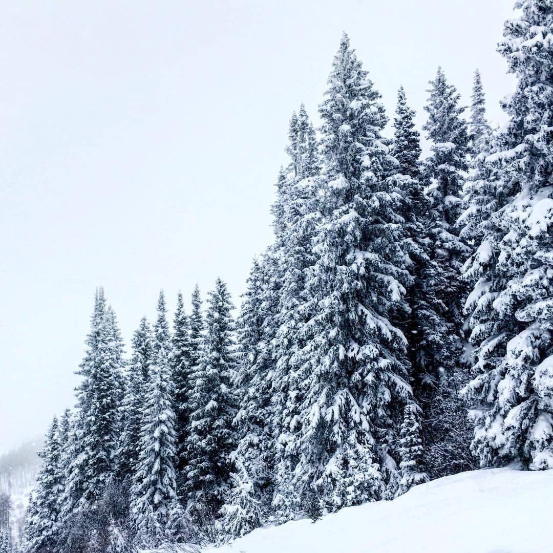 Drive up to the iconic Rabbit Ears Pass for a day out in Steamboat Springs' backcountry