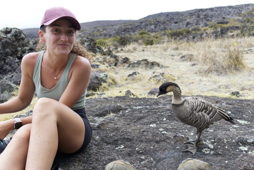 Seeing a nēnē goose while hiking in Haleakala National Park, one of the best things to do on Maui