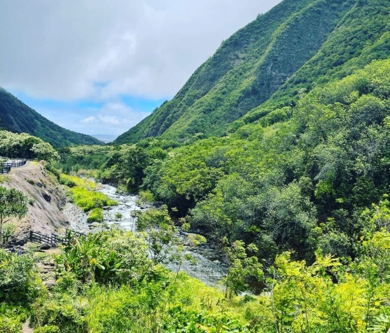 The tropical views of Iao Valley seen when driving on Maui