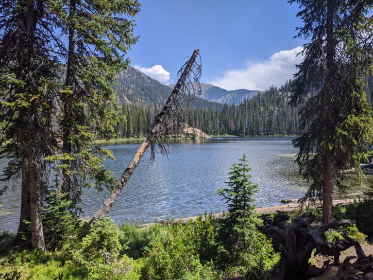 Zirkel Wilderness near Steamboat
