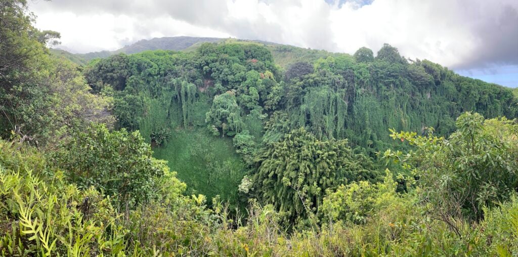 The view from Pipiwai Trail is one reason to choose Maui versus the Big Island