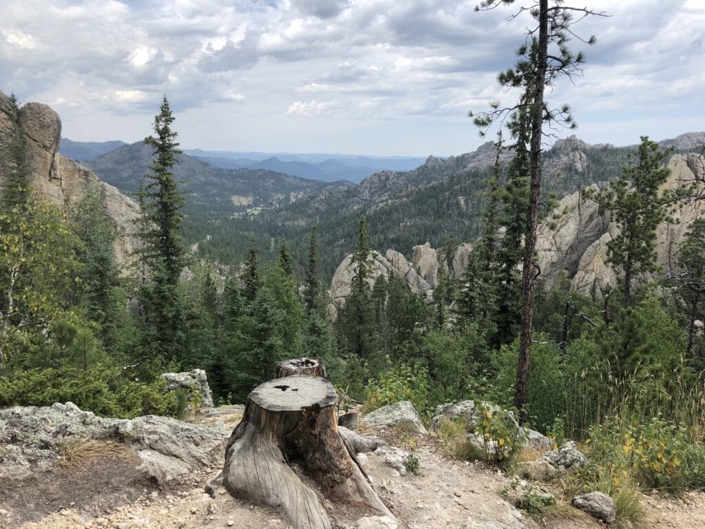 Views from intermediate an hiking trail in the Black Hills mountain range in South Dakota.