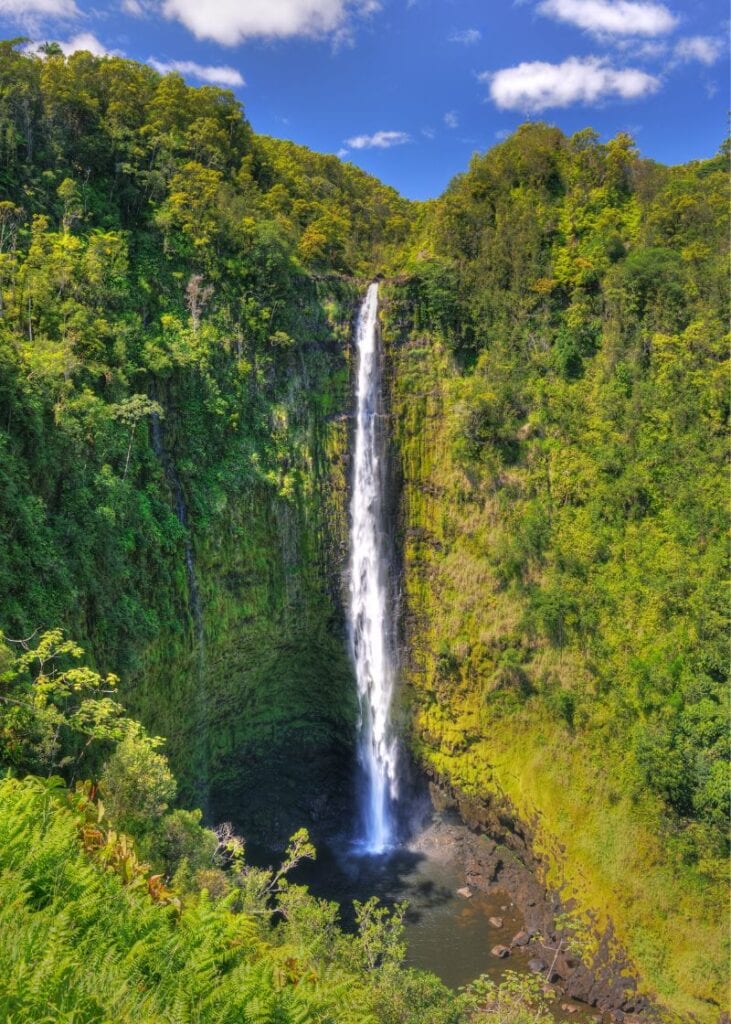 Hiking to 'Akaka Falls Falls is one of the best things to do on Hawaii's Big Island
