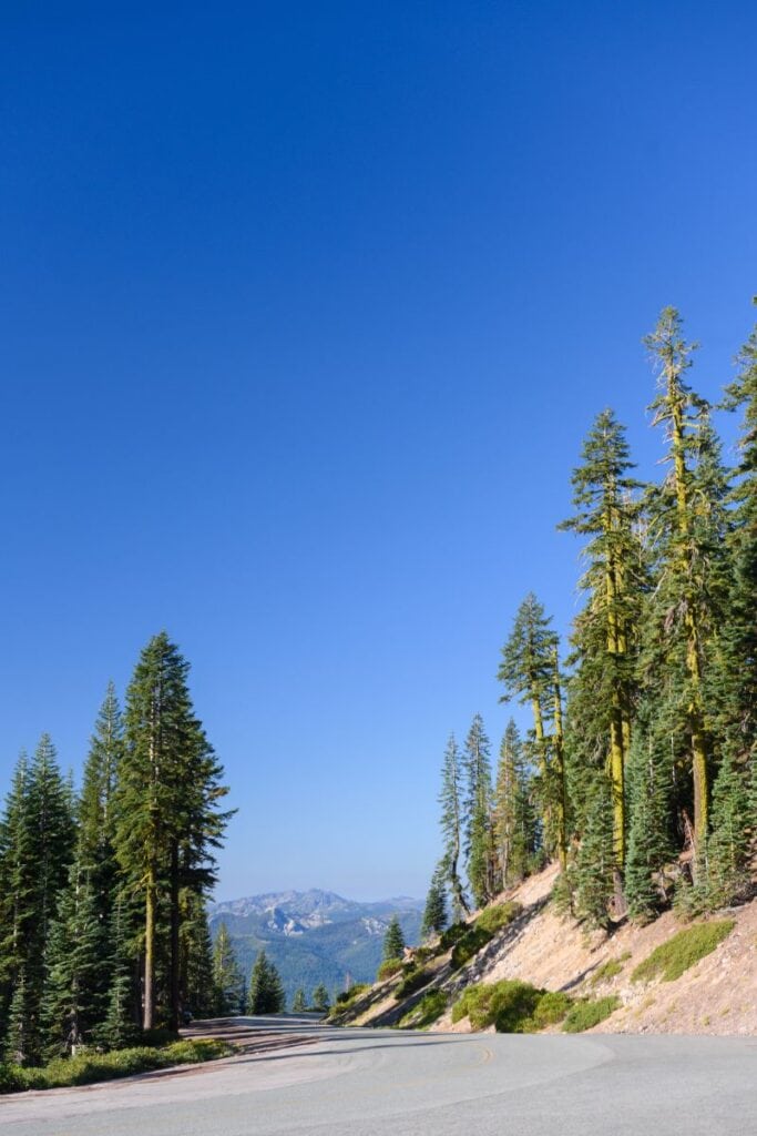 Trinity National Forest on the way to Mount Shasta in California