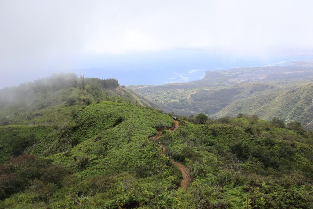 Waihee Ridge Trail is one of the most spectacular sites on Maui worth considering when deciding between Maui vs Big Island