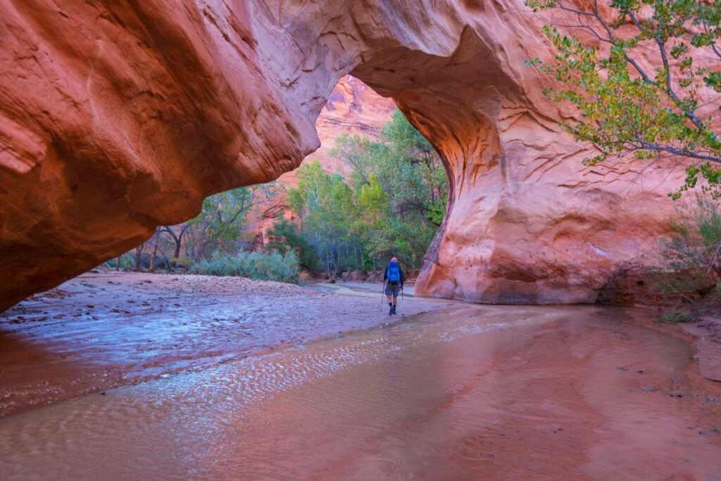 Coyote Gulch is a highlight of the Grand Staircase-Escalante desert, and one of the coolest hikes in Utah.