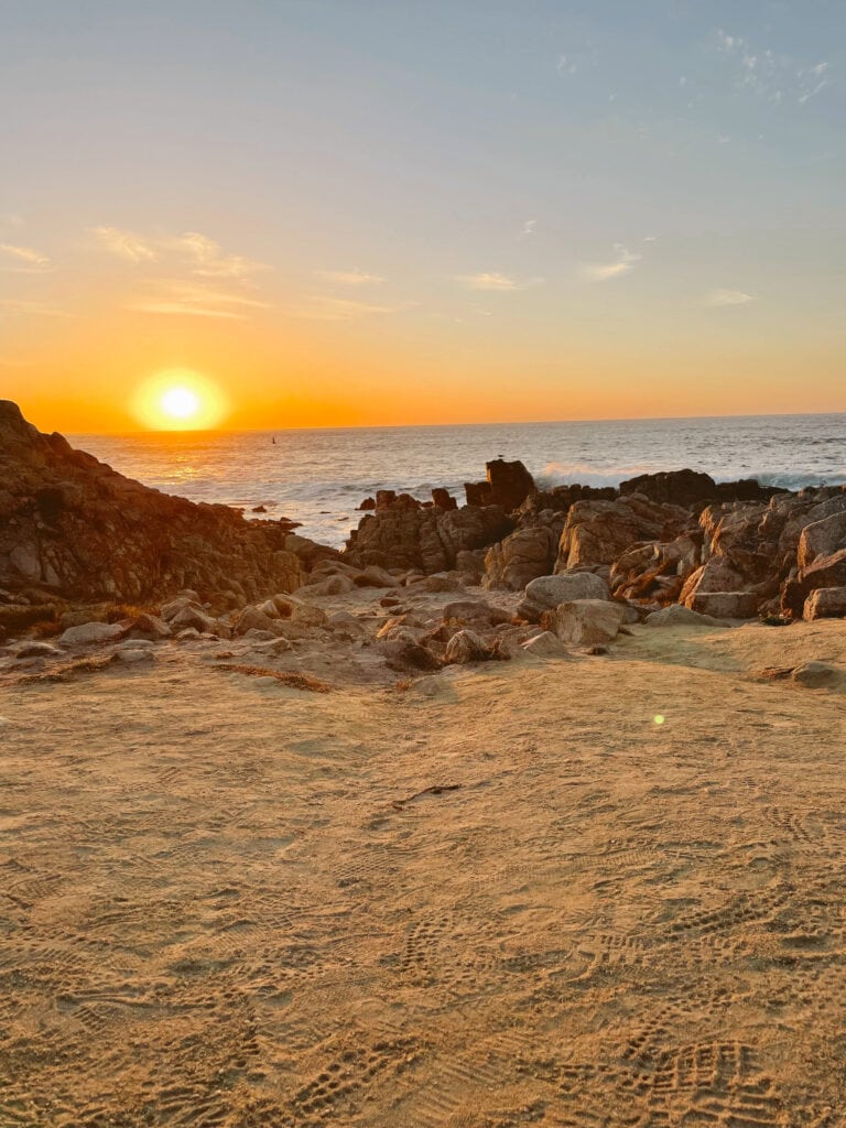 The world famous 17 mile drive in carmel-by-the-sea is one of my favorite spots to visit.