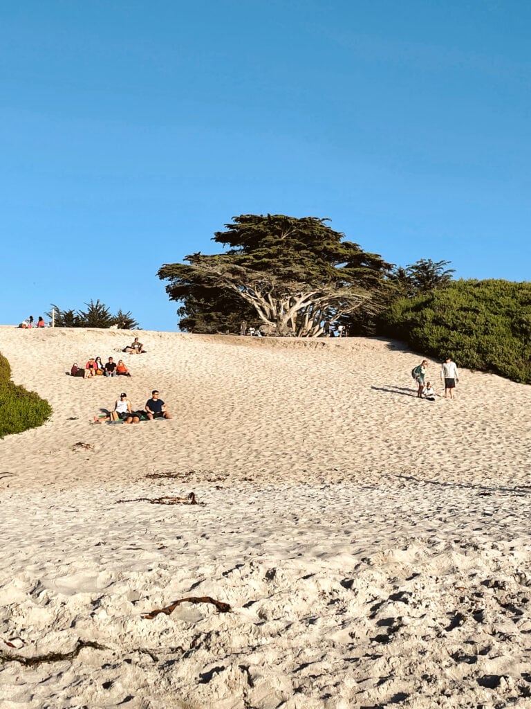 Carmel Beach is one of the best places to visit in Carmel-by-the-Sea.