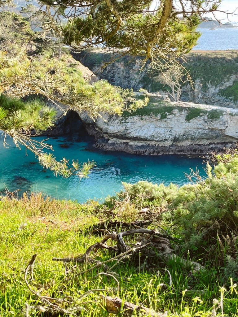 Carmel-By-The-Sea is absolutely worth visiting because it is only 130 miles south of San Francisco (about a 2-hour drive).