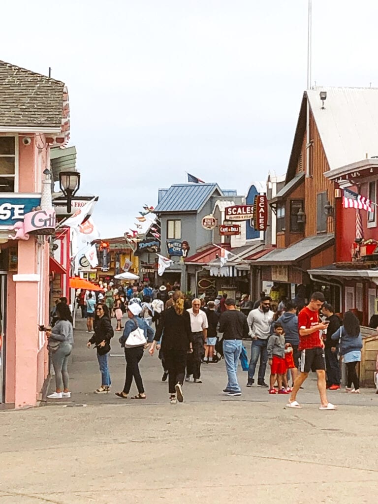 The Monterey Bay Aquarium at the end of Cannery Row in Monterey is the renowned home for marine life in Monterey Bay.