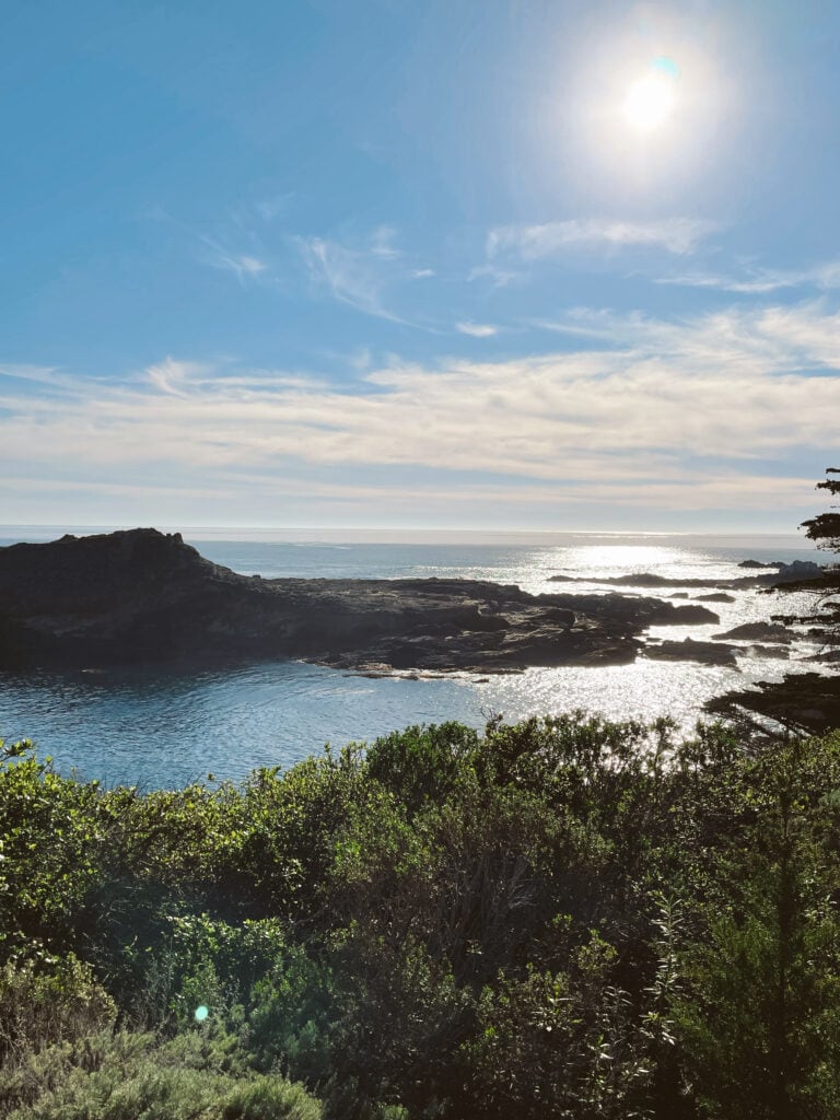 Pebble Beach is a very affluent community along 17 Mile Drive, with designer homes lining the coast.