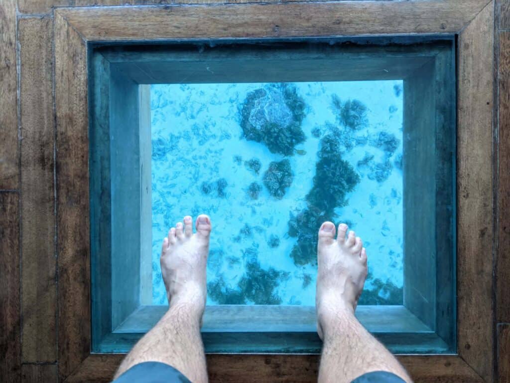 Many overwater bungalows in Bora Bora have a glass floor or table to view the sealife.