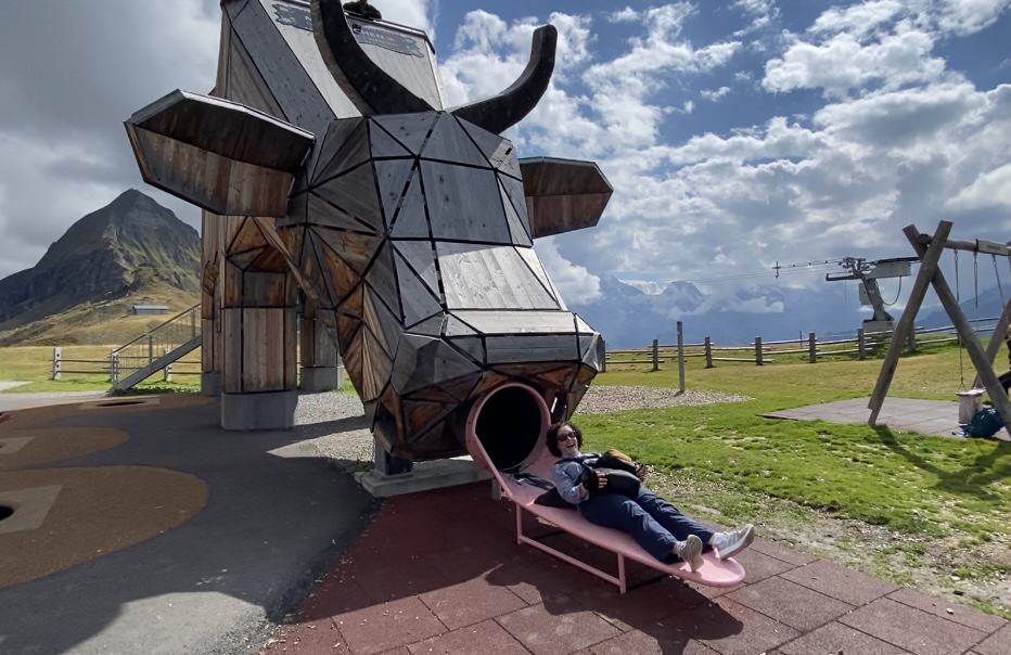 Ride the cow slide in Grindelwald, Switzerland for an alpine experience.