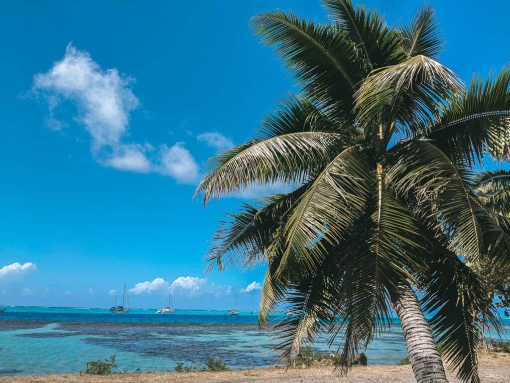 Bora Bora is well worth it but it can be more expensive than destinations like Fiji.