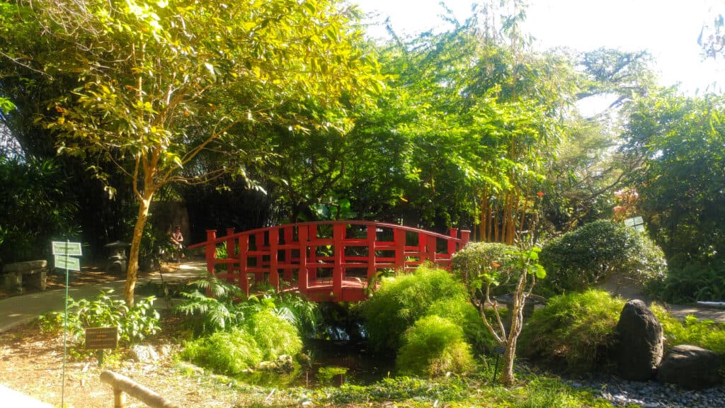 A small wooden red bridge crossing a creek surrounded by green trees in the Japanese Garden in Miami.