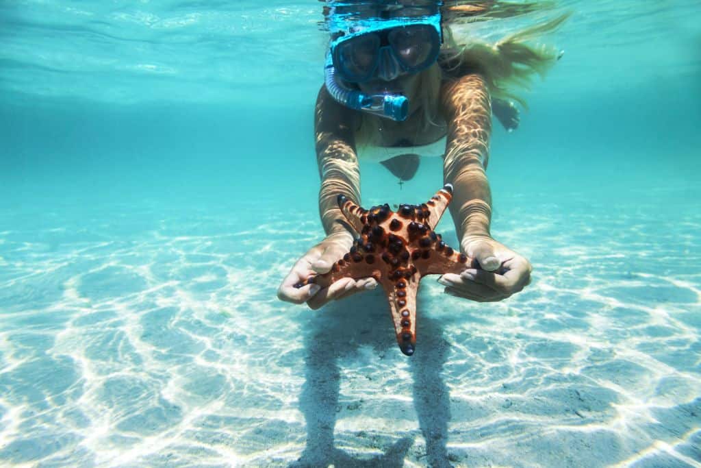 Snorkeling in Fiji Bay- Overwater Bungalow Resorts