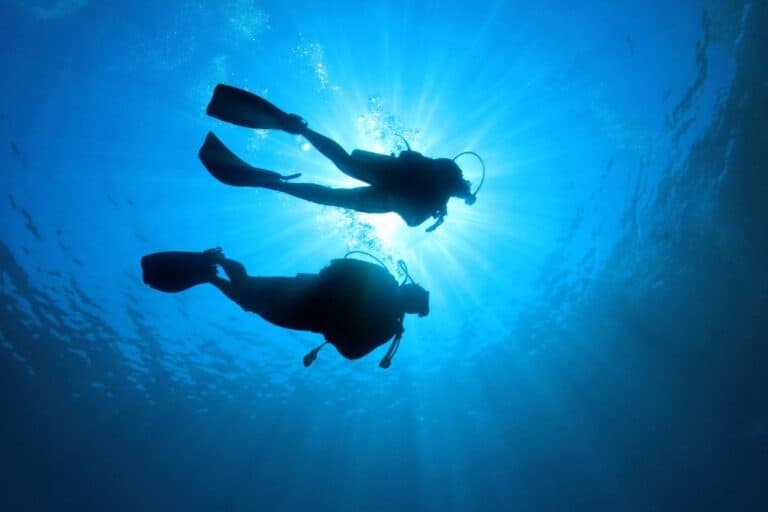 scuba divers in ocean
