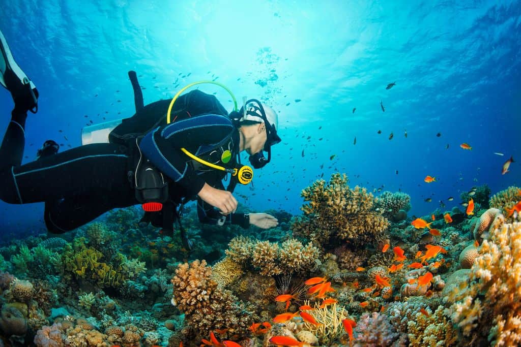 Scuba Diver exploring coral reef