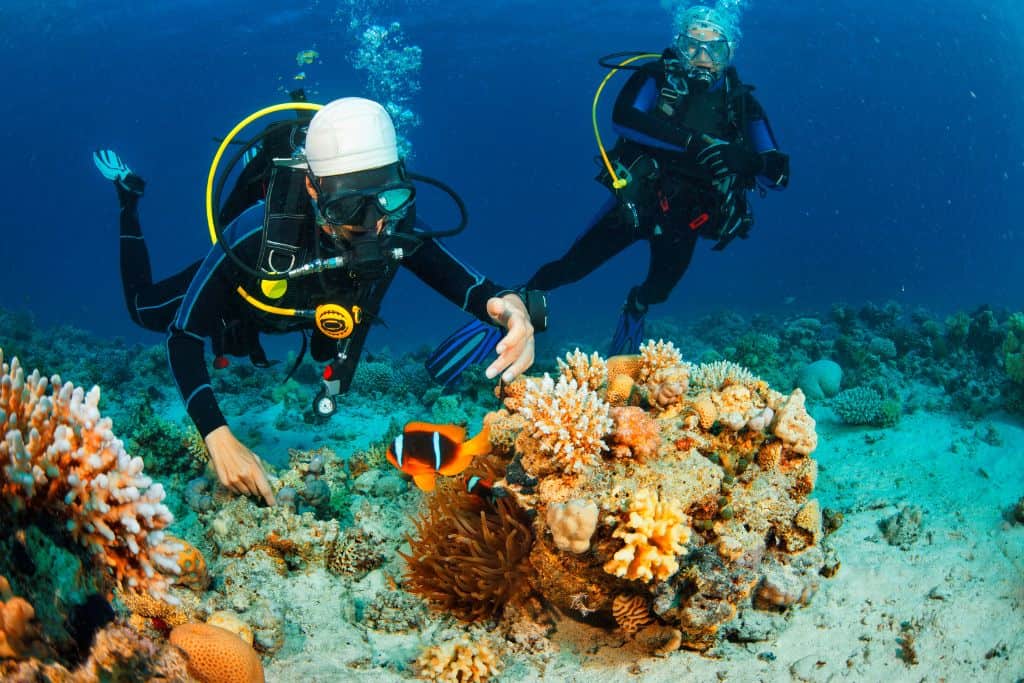 Couple scuba diving in Bora Bora