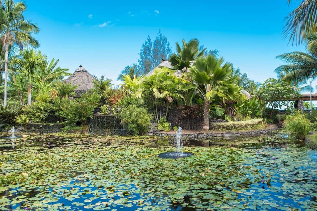 The beautiful Paofi Gardens in Papeete.