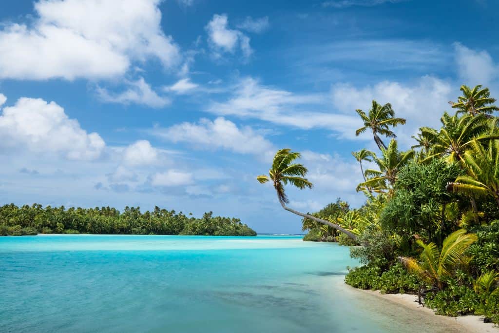 cook island ocean view with palm trees.