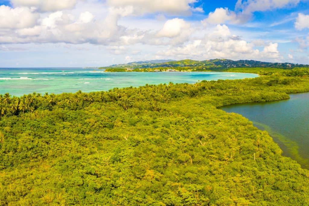 ocean and island view of Palm Island, St Vincent & the Grenadines