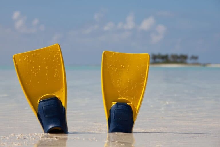 flippers in the sand bora bora