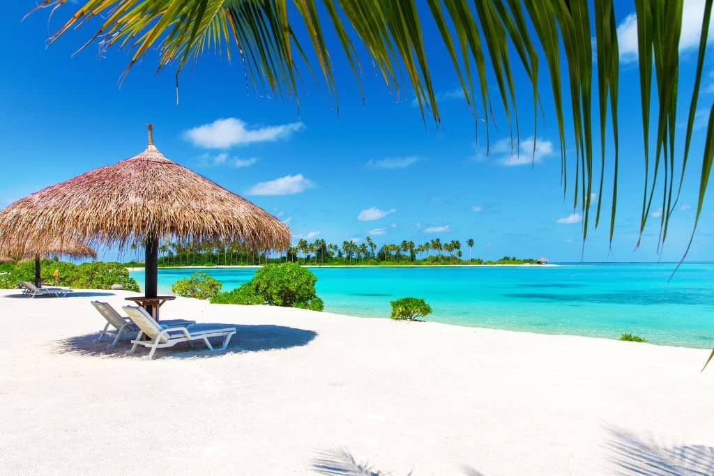 beach in the maldives