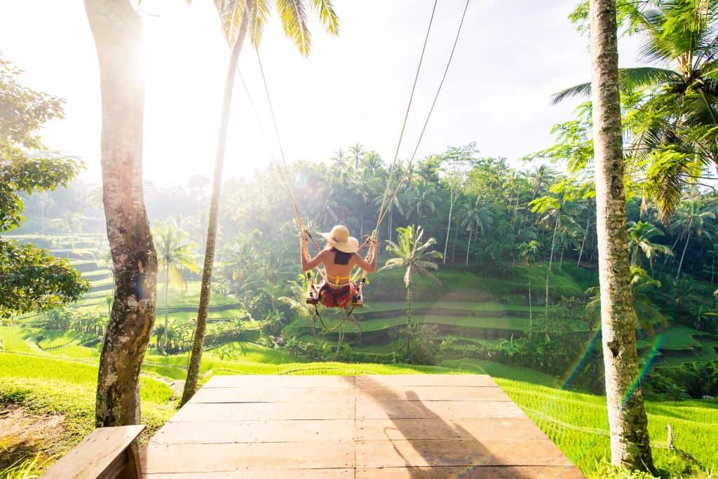 woman swinging at rice terrace in bali